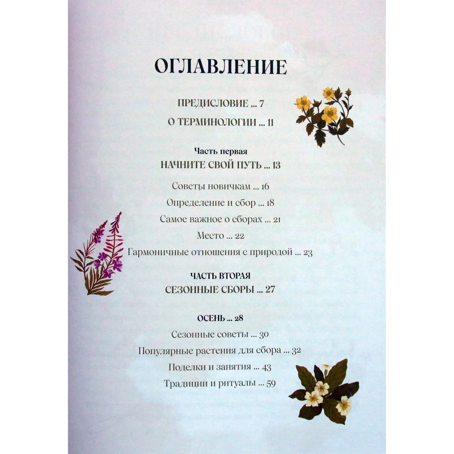 Эбони Георге "Травы. Магические запасы. Иллюстрированное руководство по сбору и заготовке волшебных растений"