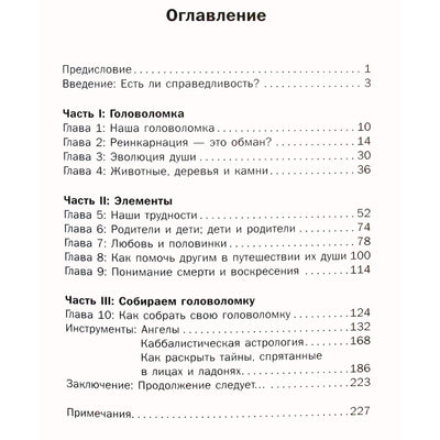 Karen Berg "Tęsinys. Reinkarnacija ir mūsų gyvenimo prasmė"