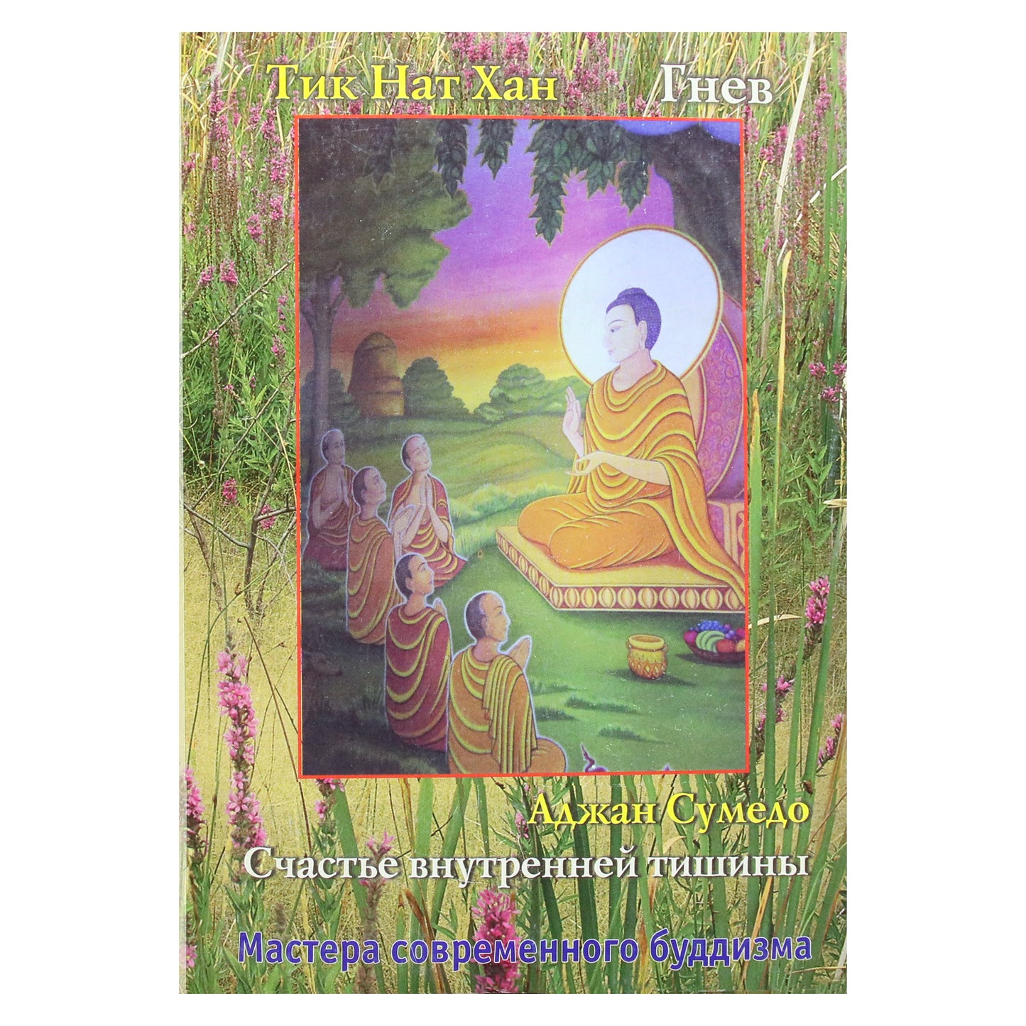 Thich Nhat Hanh „Rykštis“ (8 tomas)