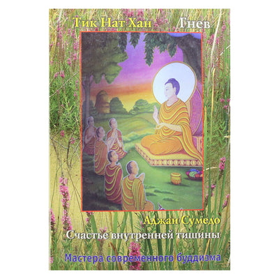 Thich Nhat Hanh „Rykštis“ (8 tomas)