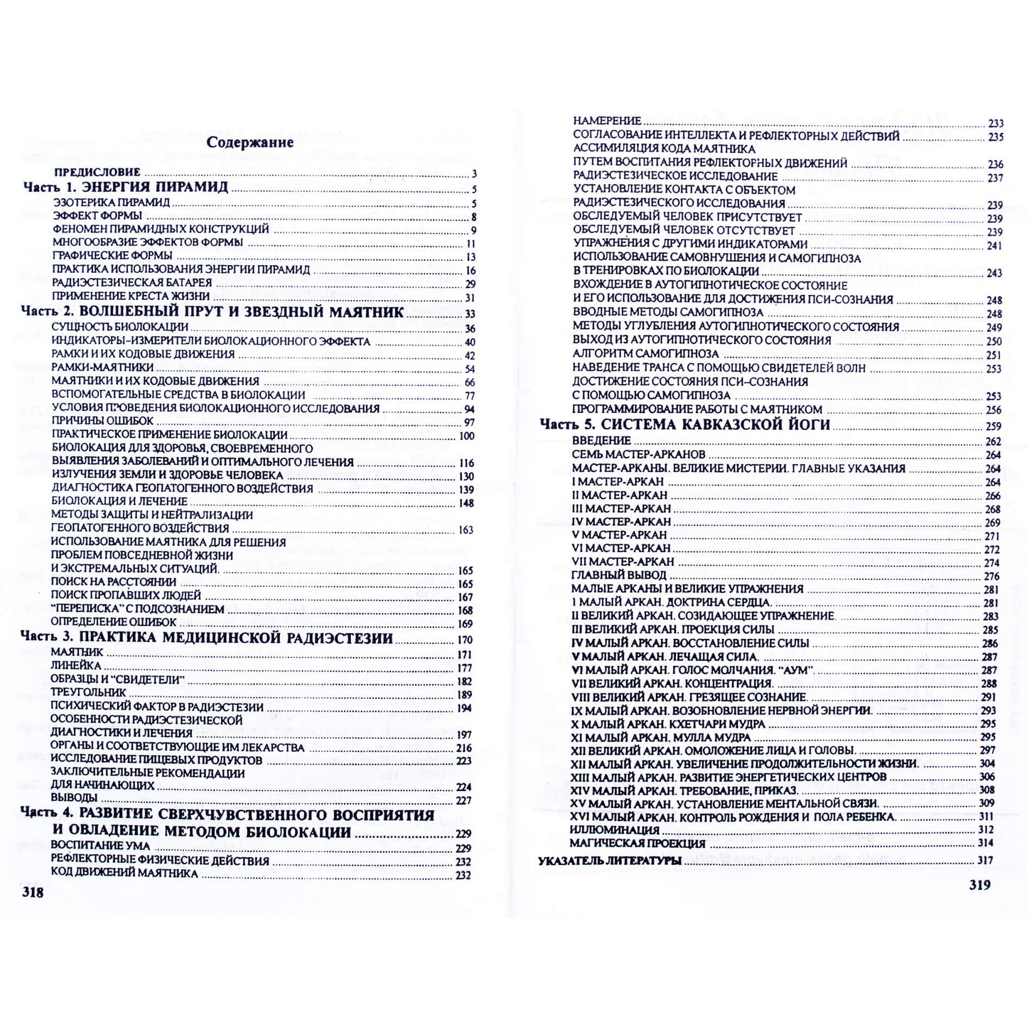 Litvinenka "Piramidžių energija. Stebuklinga lazdelė ir žvaigždės švytuoklė"