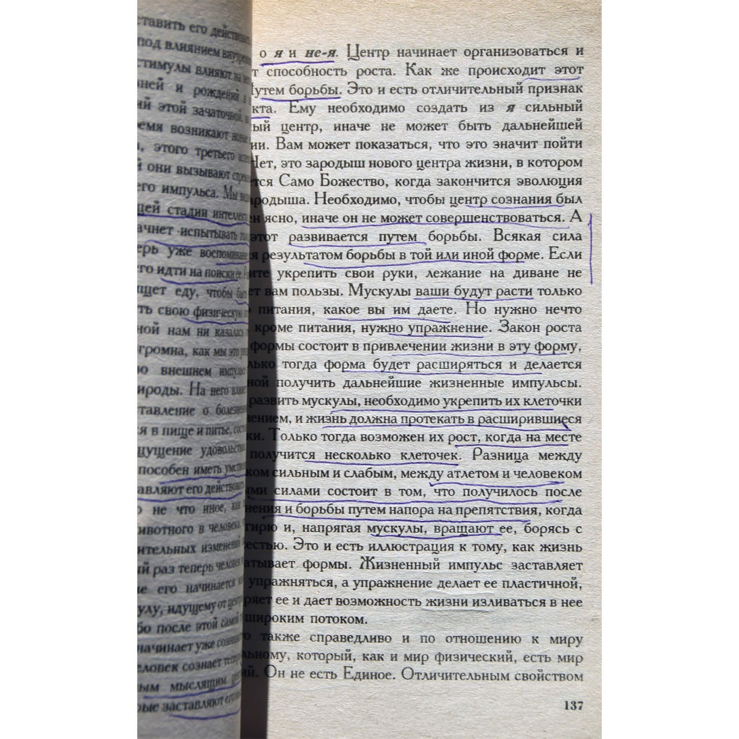 Анни Безант "Эволюция жизни. Сборник статей и лекций"