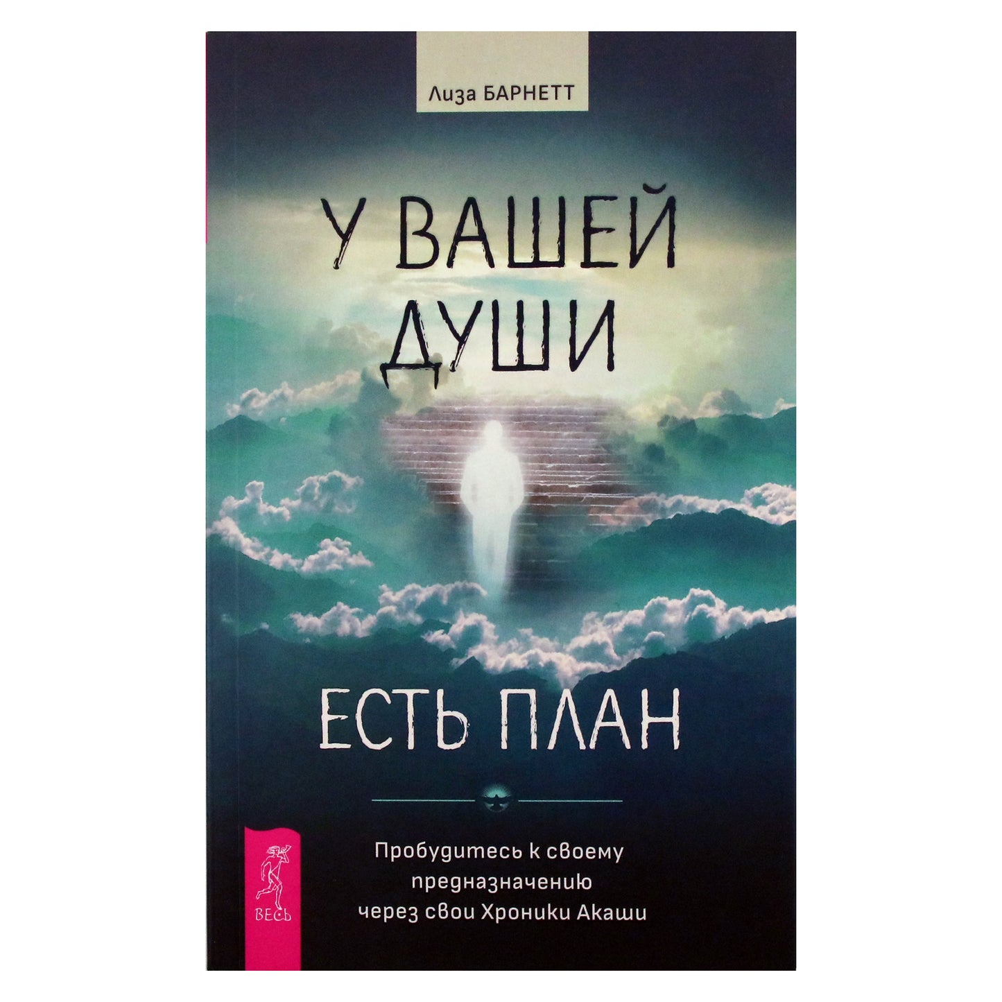 Lisa Barnett „Jūsų siela turi planą. Pažadinkite savo tikslą per savo Akašos įrašus“