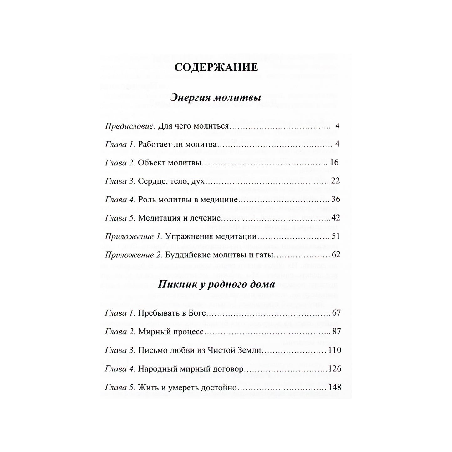 Thich Nhat Hanh "Maldos energija. Piknikas namuose" (20 tomas)