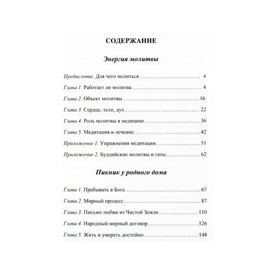 Thich Nhat Hanh "Maldos energija. Piknikas namuose" (20 tomas)