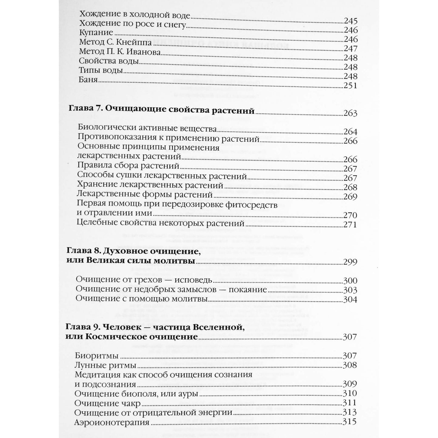 Елена Демина "Большая книга очищения"