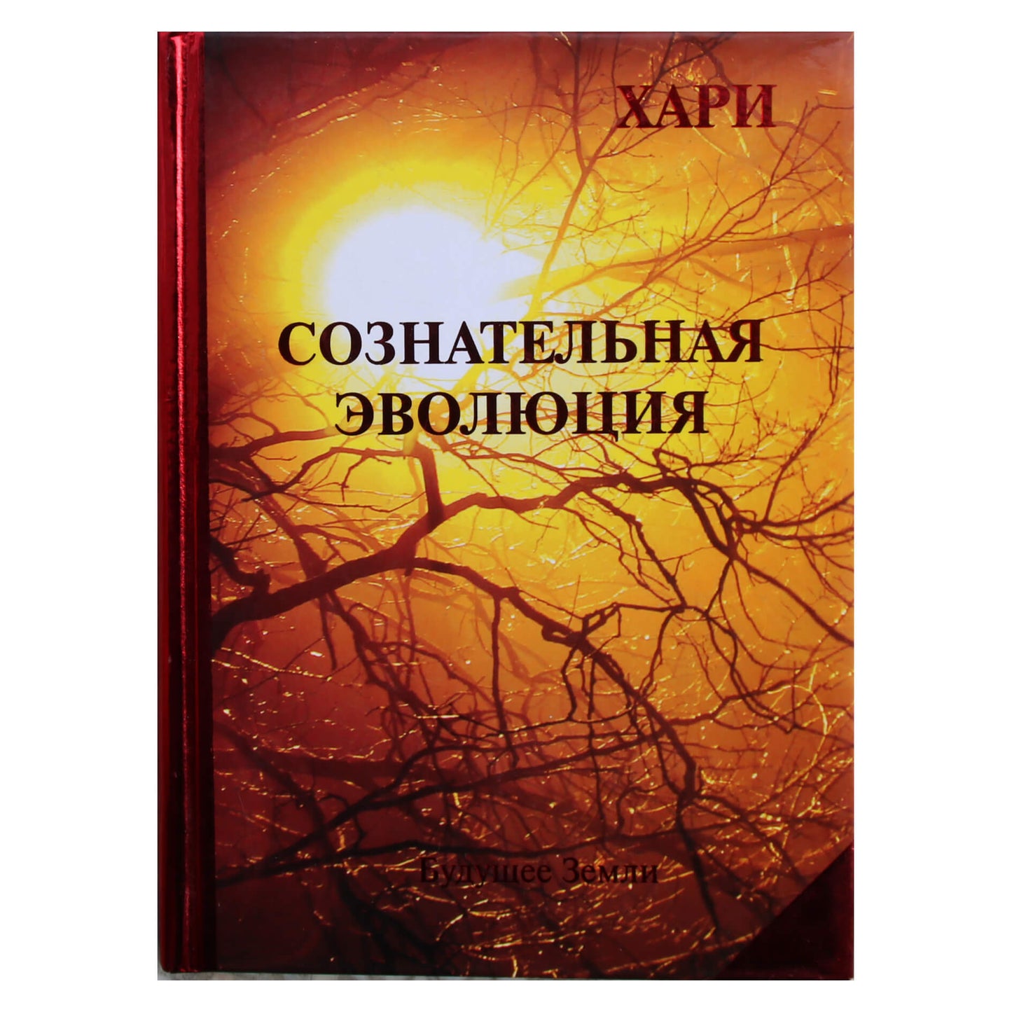 Hari (Robertas Compagnola) „Sąmoninga evoliucija arba gairės, kaip numalšinti dvasinį alkį“